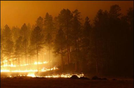 Arizona Wallow wildfire grows to half-million acres « Summit ...