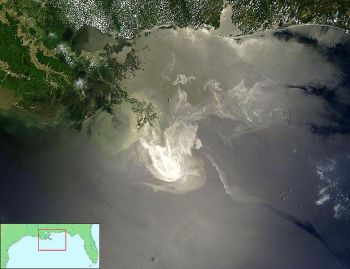 A NASA satellite image shows the oil slick from the Deepwater Horizon disaster spreading across the northern Gulf of Mexico in late May, 2010. 